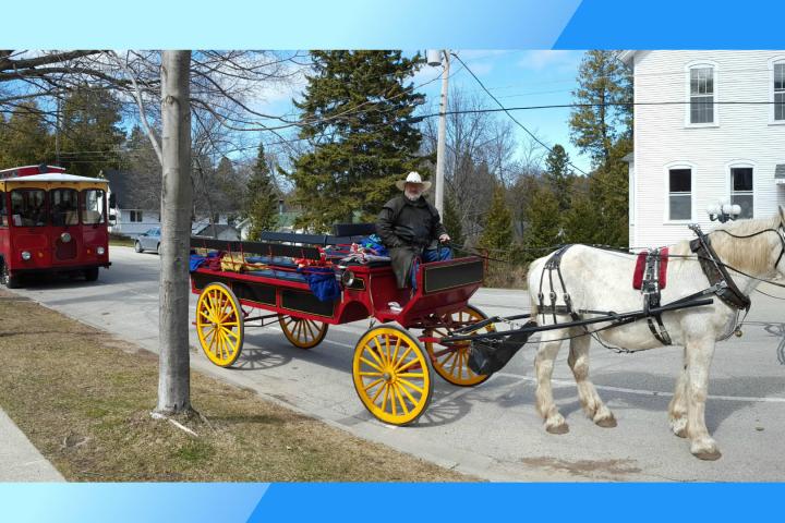 a man riding a horse drawn carriage