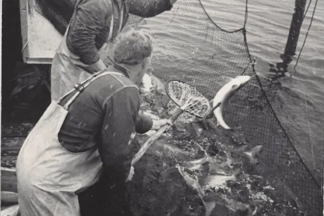 an old photo of a person